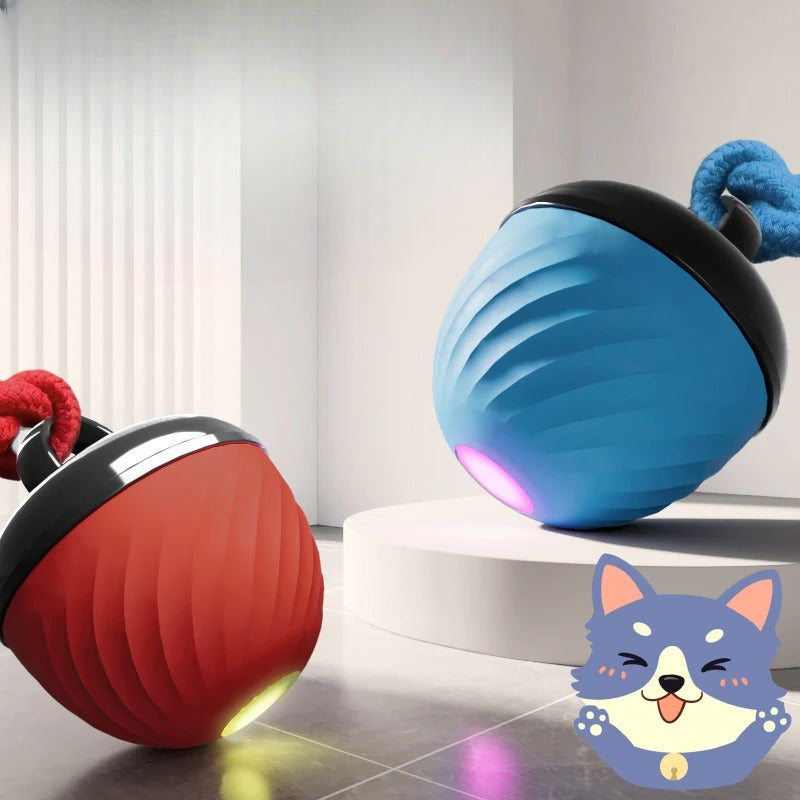 Smart Interactive Toy